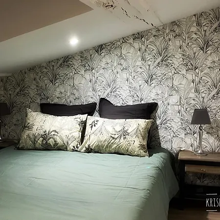 Ne Pas Reserver 公寓 尼奥尔